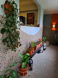 Blk 805 Woodlands Street 81 (Woodlands), HDB Executive #592398381